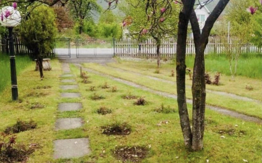 Estate with house and land in Pešća, 100 m²