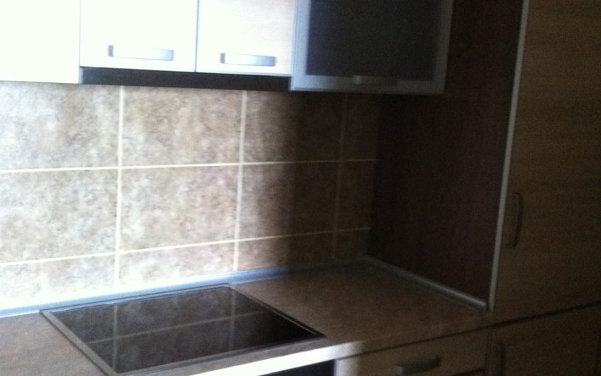 New one bedroom apartment with central heating in Žabljak, 54 m²