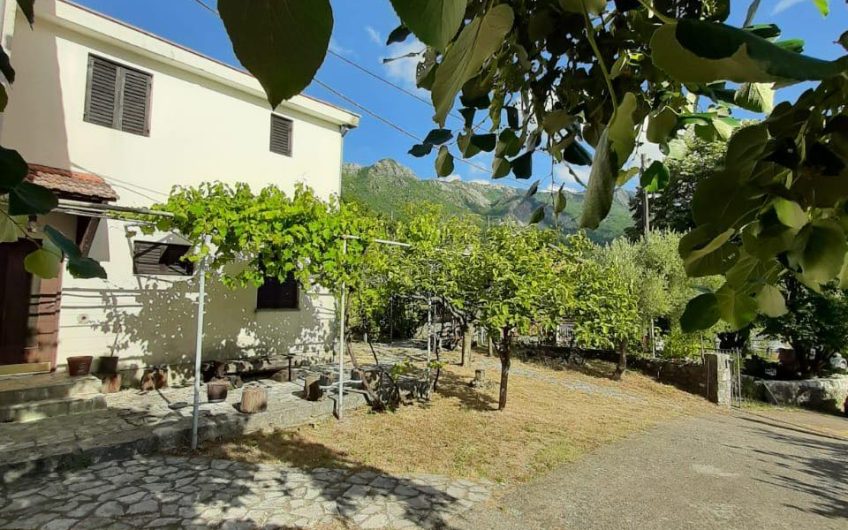 Two-storey antique house with huge lot on Limljani, 105 m²