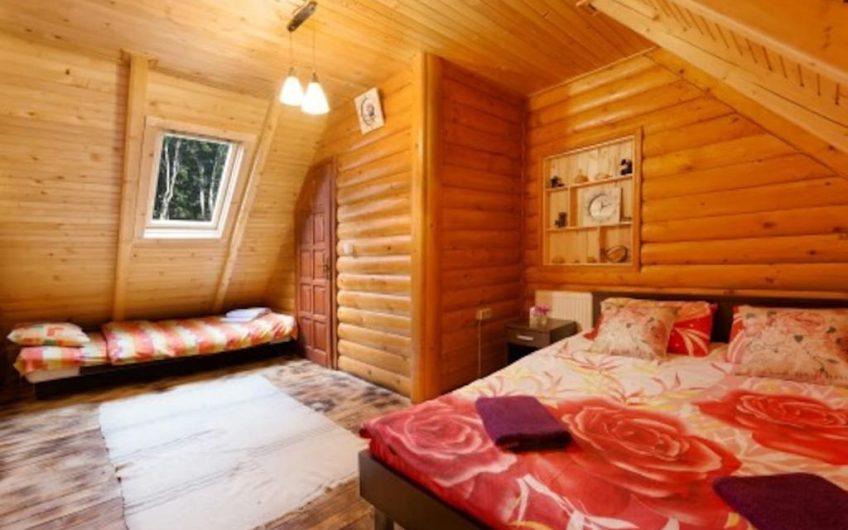 Exclusive chalet in Žabljak
