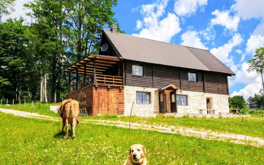 Exclusive chalet in Žabljak