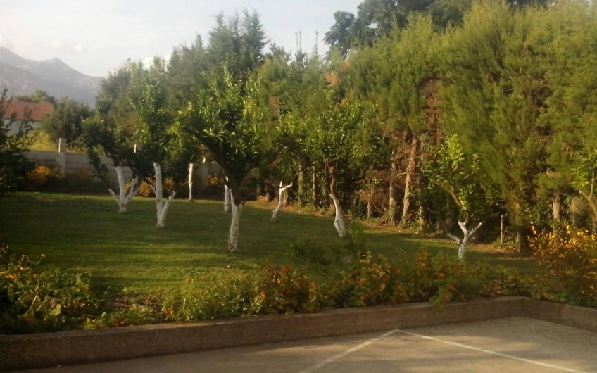 Large house in Polje, 400 m²