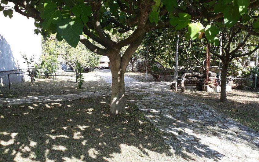 Two-storey antique house with huge lot on Limljani, 105 m²