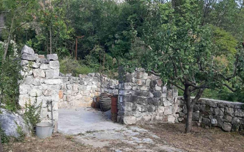 Two-storey antique house with huge lot on Limljani, 105 m²