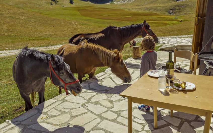Exclusive chalet in Žabljak
