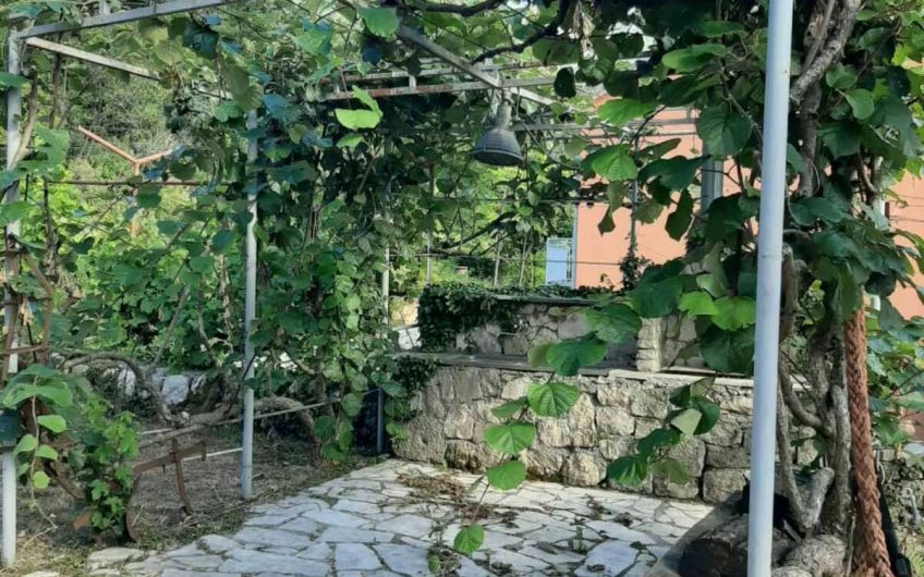 Two-storey antique house with huge lot on Limljani, 105 m²