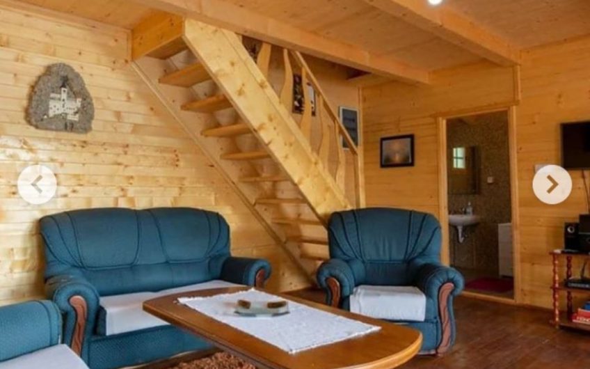 Two-storey wooden house with large terrace on riverbank in Ada Bojana