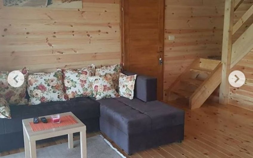 Country house on riverbank in Ada Bojana