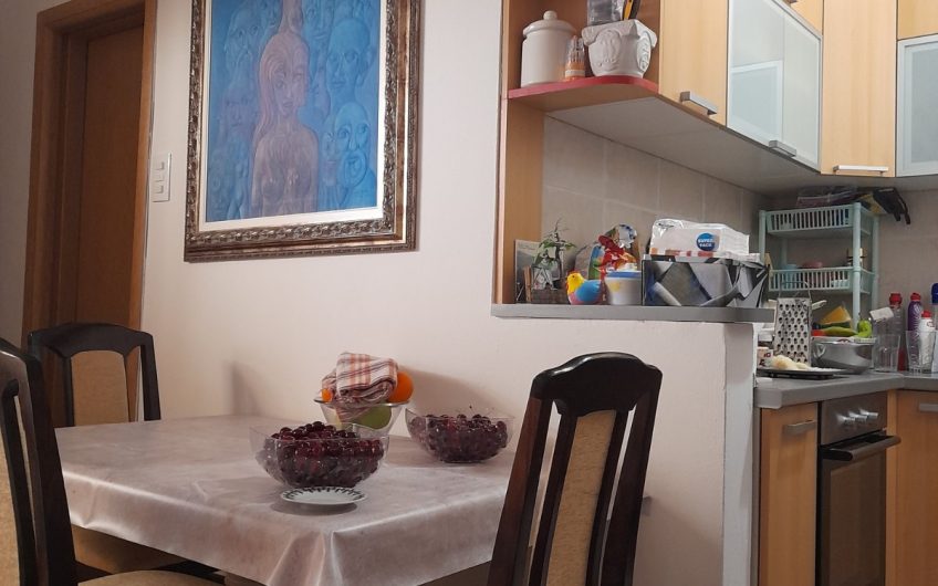 Small one-bedroom apartment in Petrovac, 45 m²