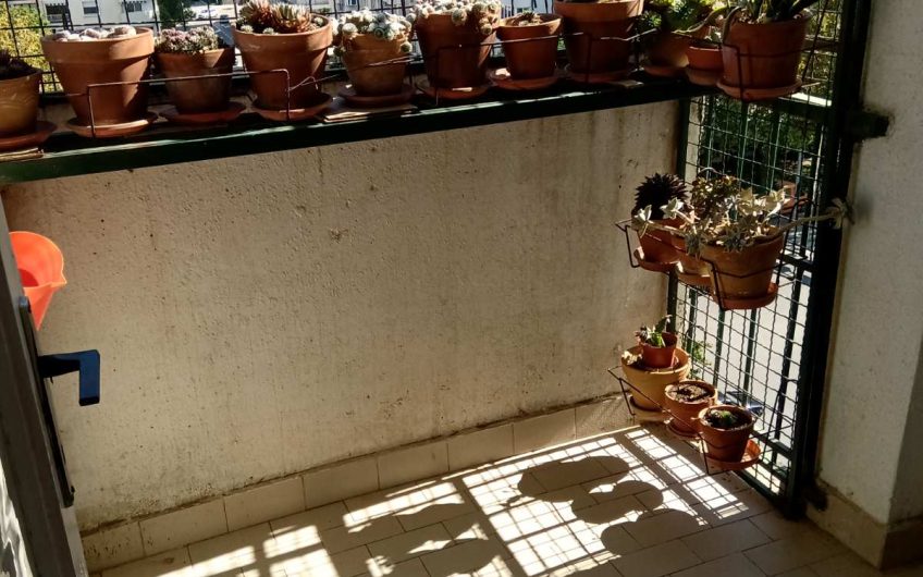 Large two-bedroom apartment with three balconies in center of Bar, 84 m²