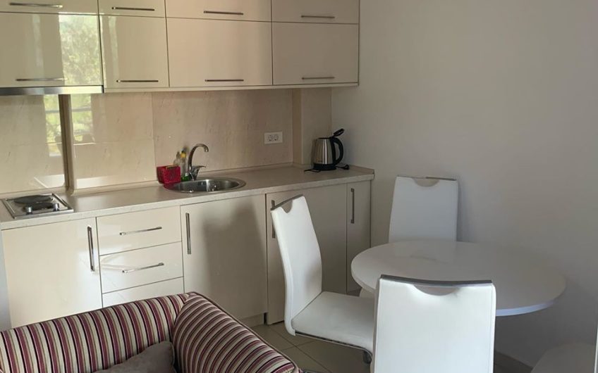 Small one-bedroom functional apartment in Ilino, 32 m²