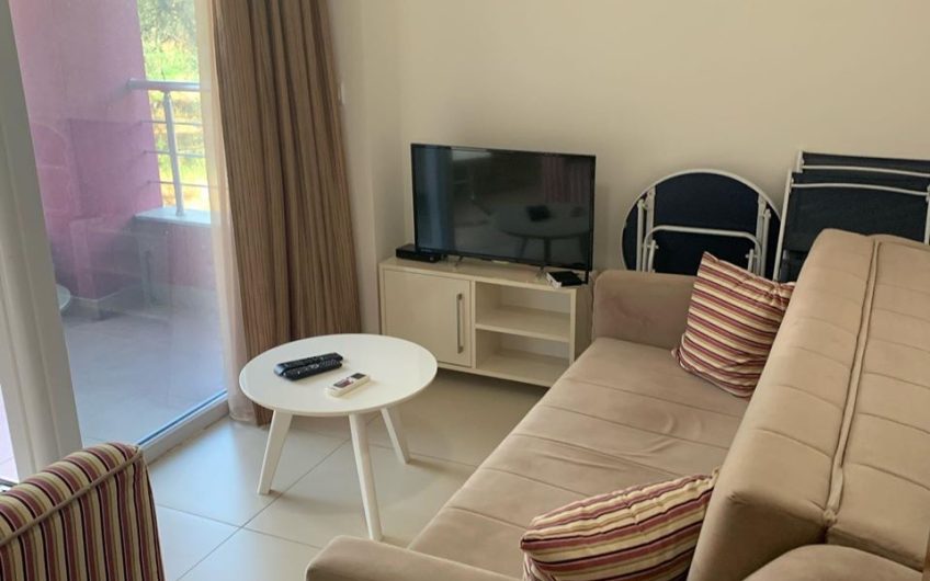 Small one-bedroom functional apartment in Ilino, 32 m²